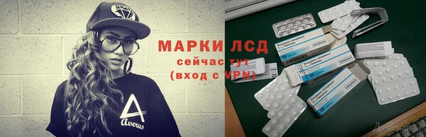 тгк Осинники
