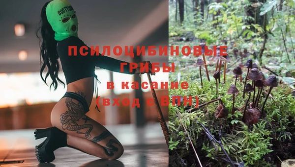 тгк Осинники
