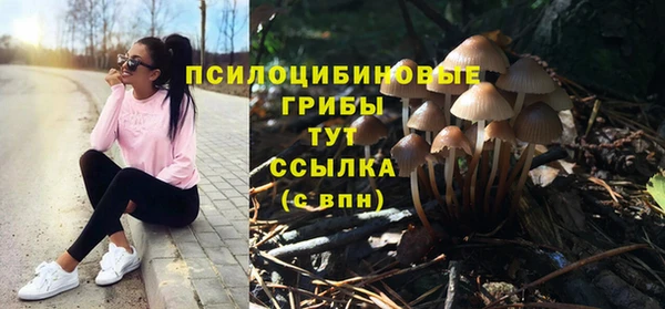 mdpv Пересвет