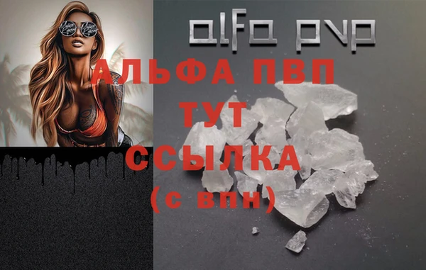 экстази Осташков